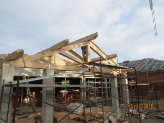 Img. 2 Correa castaño.jpg